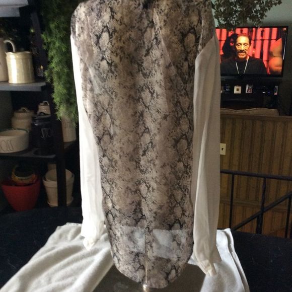 Sheer LS button up - Picture 2 of 8